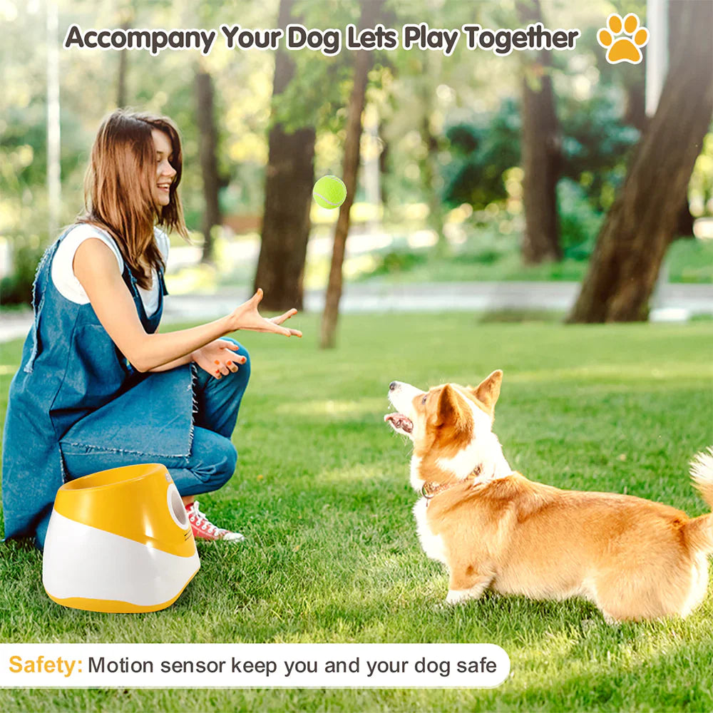 AutoFetch Dog Ball Launcher