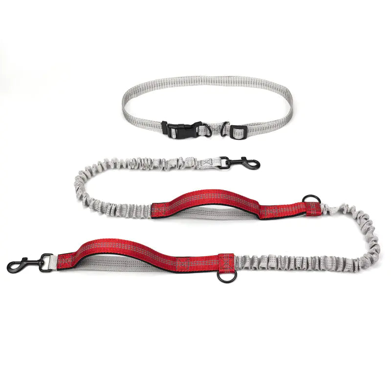 Adventure Canine Running Leash