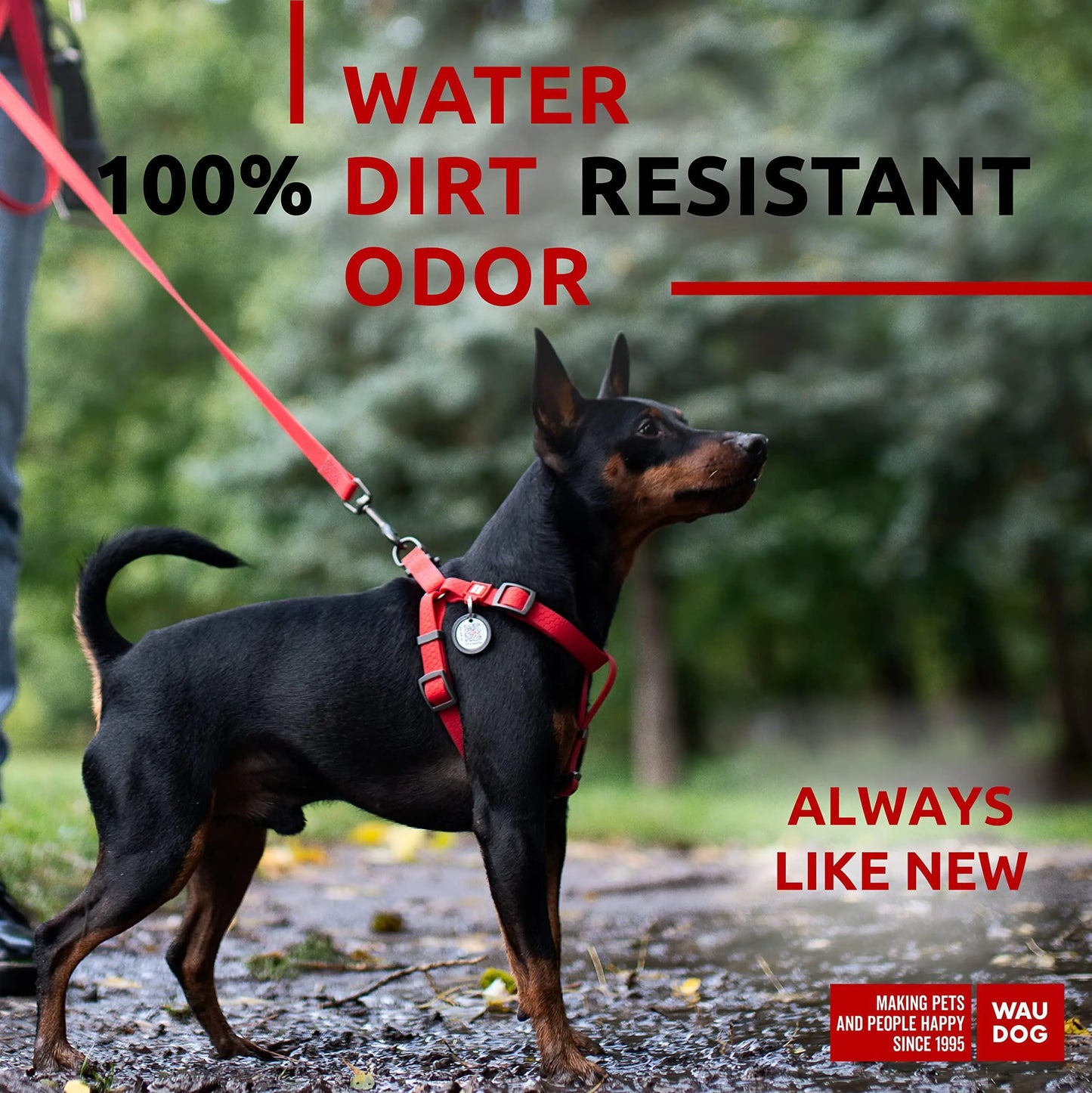Adjustable Red Waterproof Harness for Small Dogs
