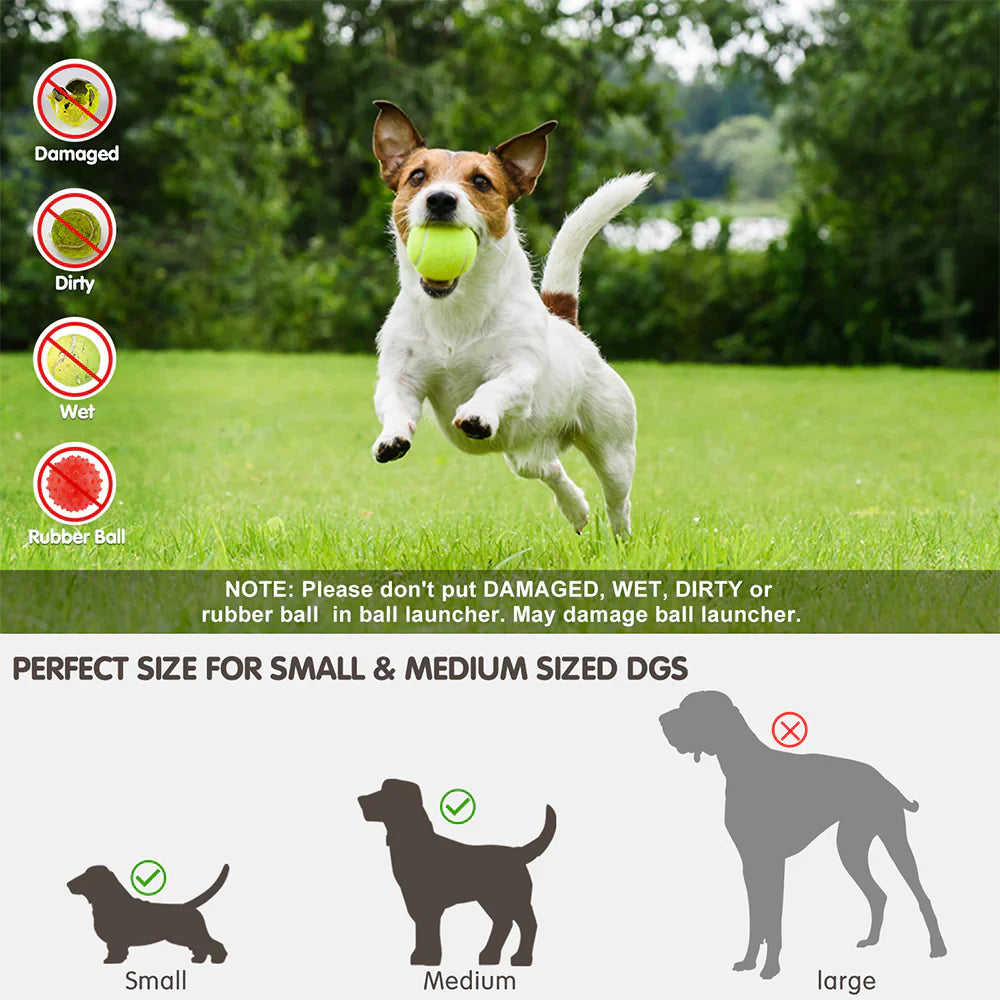 AutoFetch Dog Ball Launcher