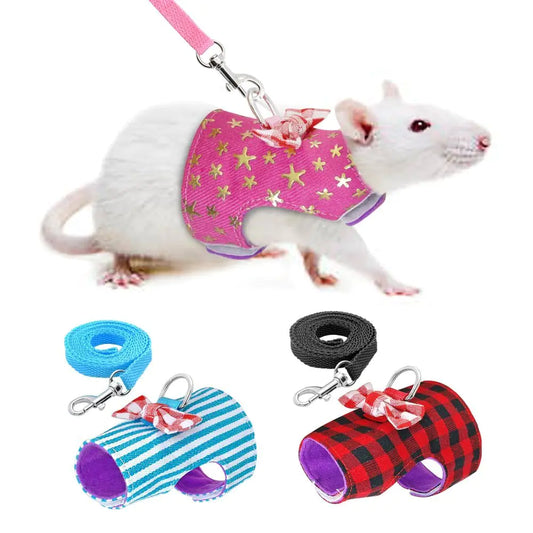 Chic Pet Walk Harness and Leash Set with Bow Accent