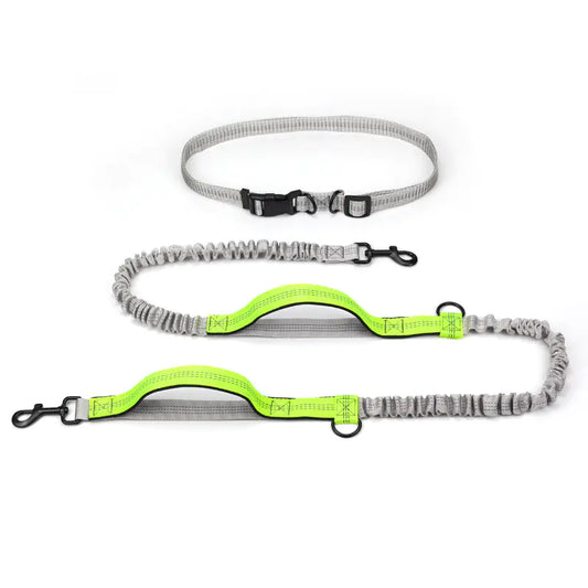 Adventure Canine Running Leash