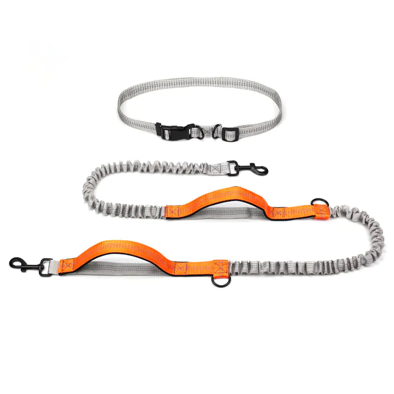 Adventure Canine Running Leash