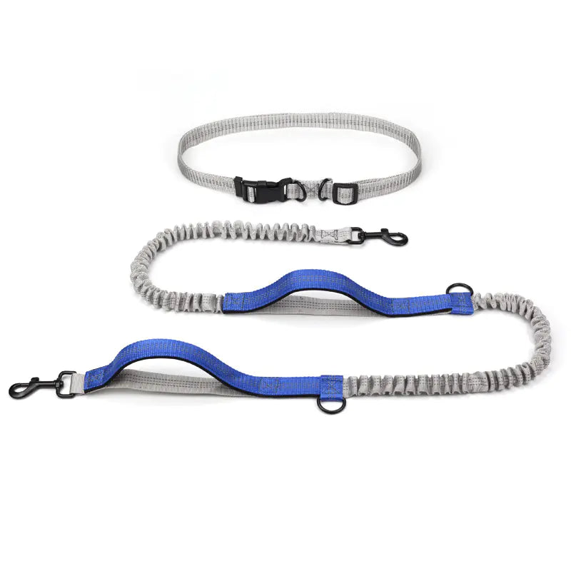 Adventure Canine Running Leash