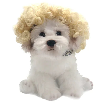 VersaStyle Costume Wigs