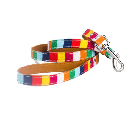 Vibrant Canvas Pet Leash