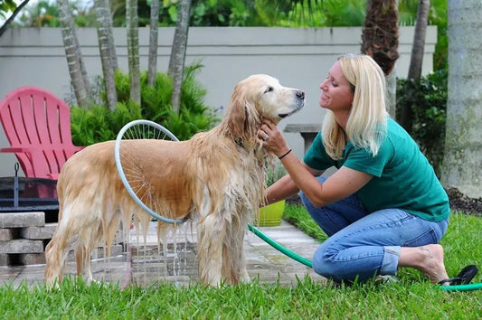 Canine Splash Bath Circle