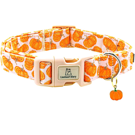 Autumn Chic Pumpkin Dog Collar