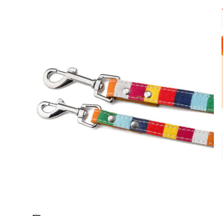 Vibrant Canvas Pet Leash