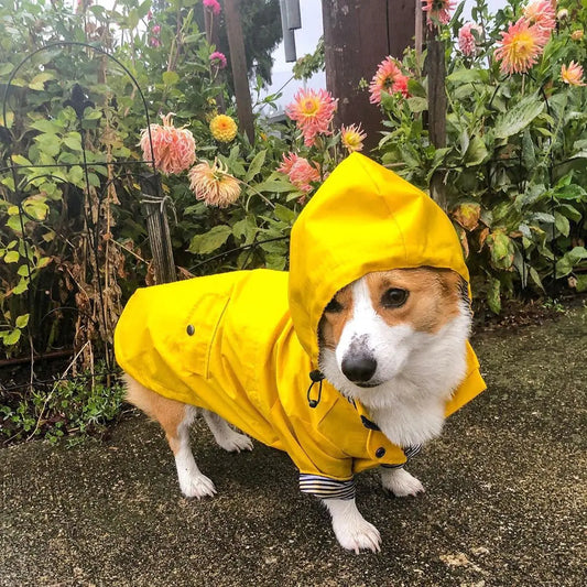 Vintage Style Waterproof Dog Coat
