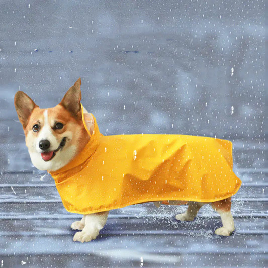 Trendy All-Weather Dog Raincoat