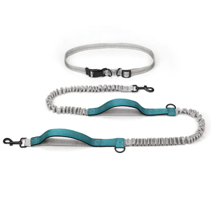 Adventure Canine Running Leash