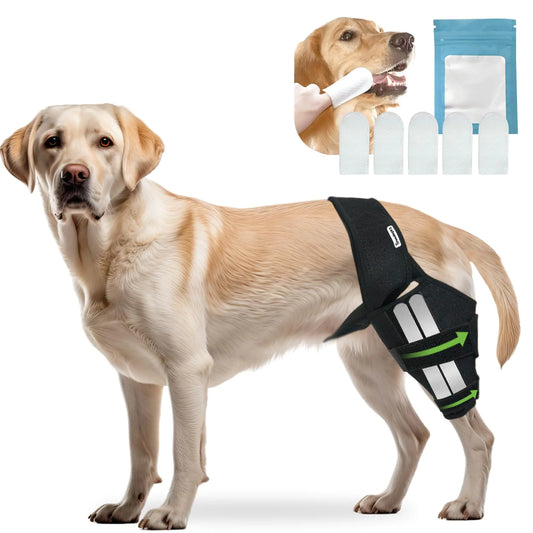 Ultimate Dog Knee Recovery Brace