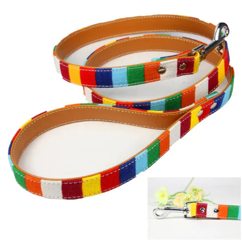 Vibrant Canvas Pet Leash